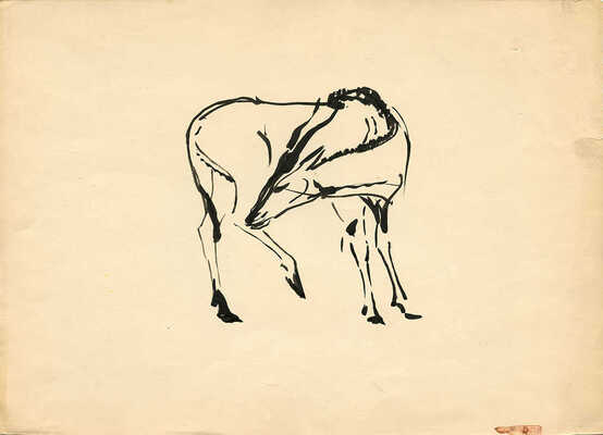 Никольский Георгий Евлампиевич. Антилопа